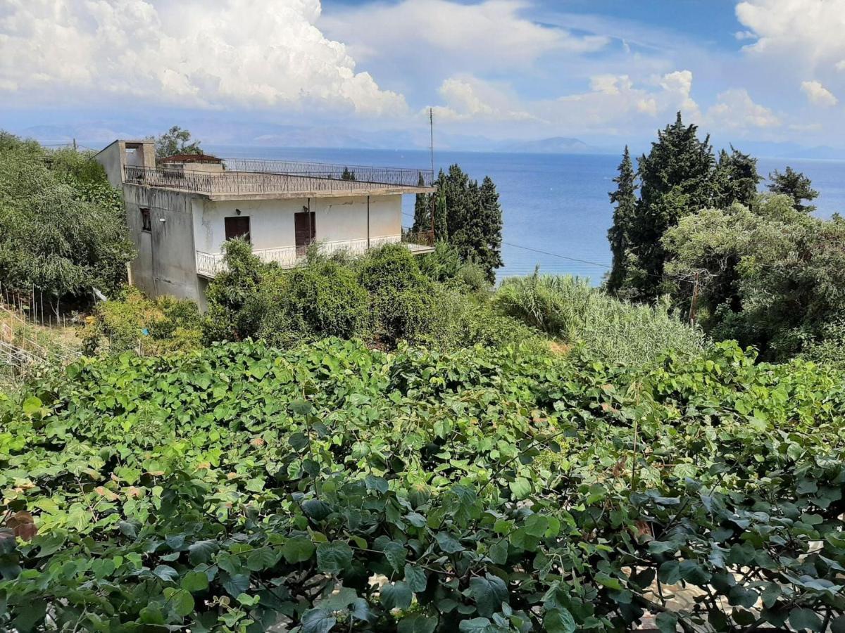Majestic In With Shared Pool Benitses (Corfu)